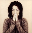Bjork Debut (DualDisc) Формат: Super Audio CD (Jewel Case) Дистрибьюторы: Wellhart Ltd, ООО "Юниверсал Мьюзик" Лицензионные товары Характеристики аудионосителей 2007 г Альбом: Импортное издание инфо 7268f.