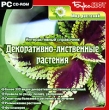 Декоративно-лиственные растения Серия: Мир растений инфо 5098h.