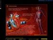 Биология Анатомия и физиология человека 3 CD-ROM, 2004 г Издатель: Новый Диск; Разработчик: YDP Interactive Publishing пластиковый Jewel case Что делать, если программа не запускается? инфо 5714h.